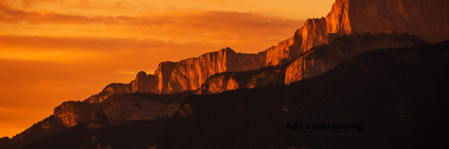 Run Ultra Running Vest with 1.5L Hydration Bladder